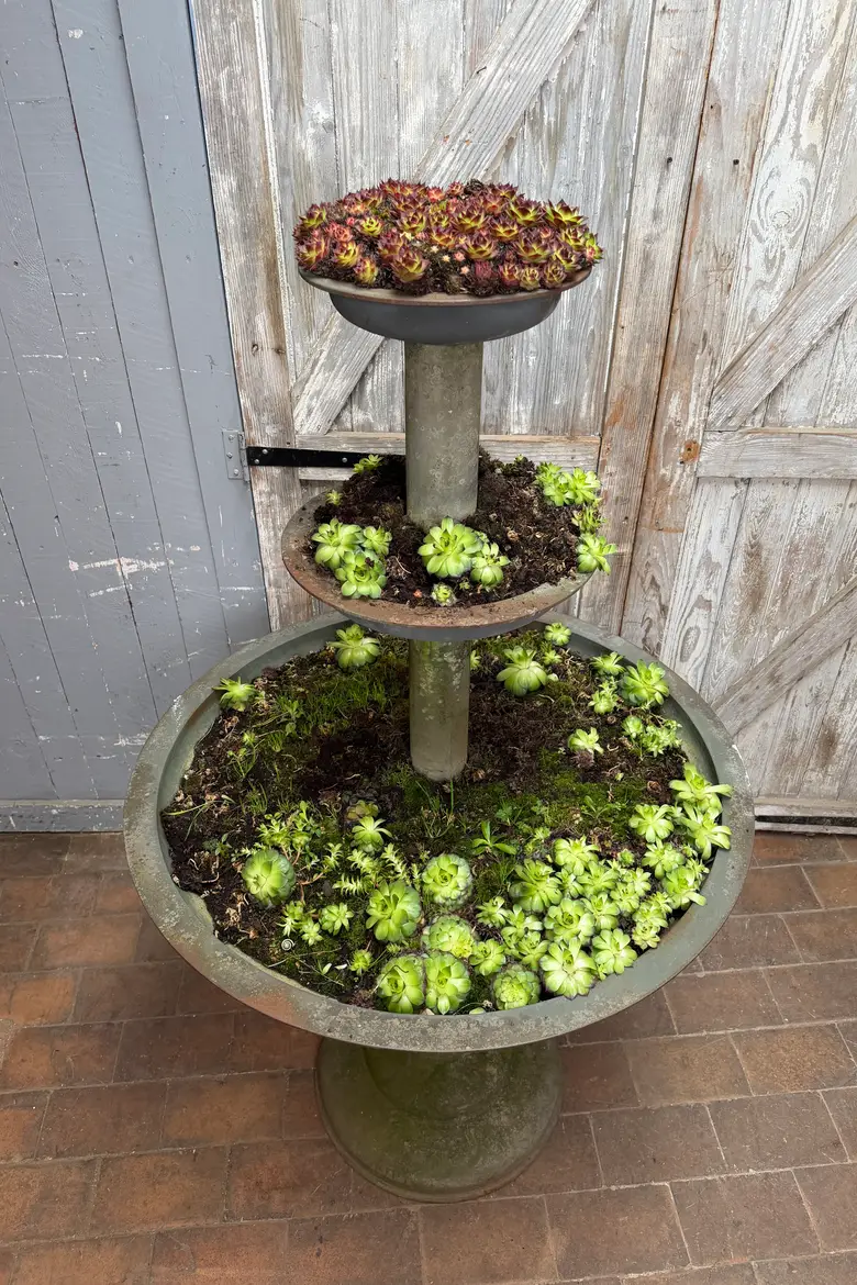 Ancienne jardinière en fonte