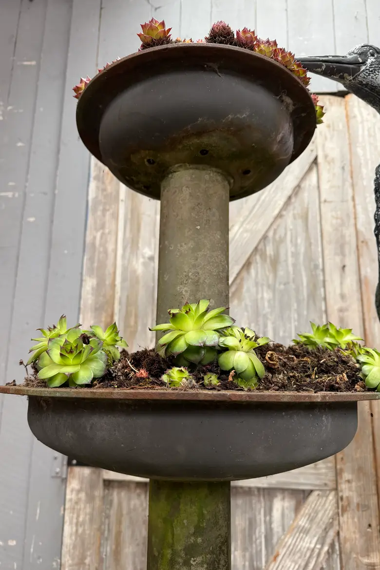 Ancienne jardinière en fonte
