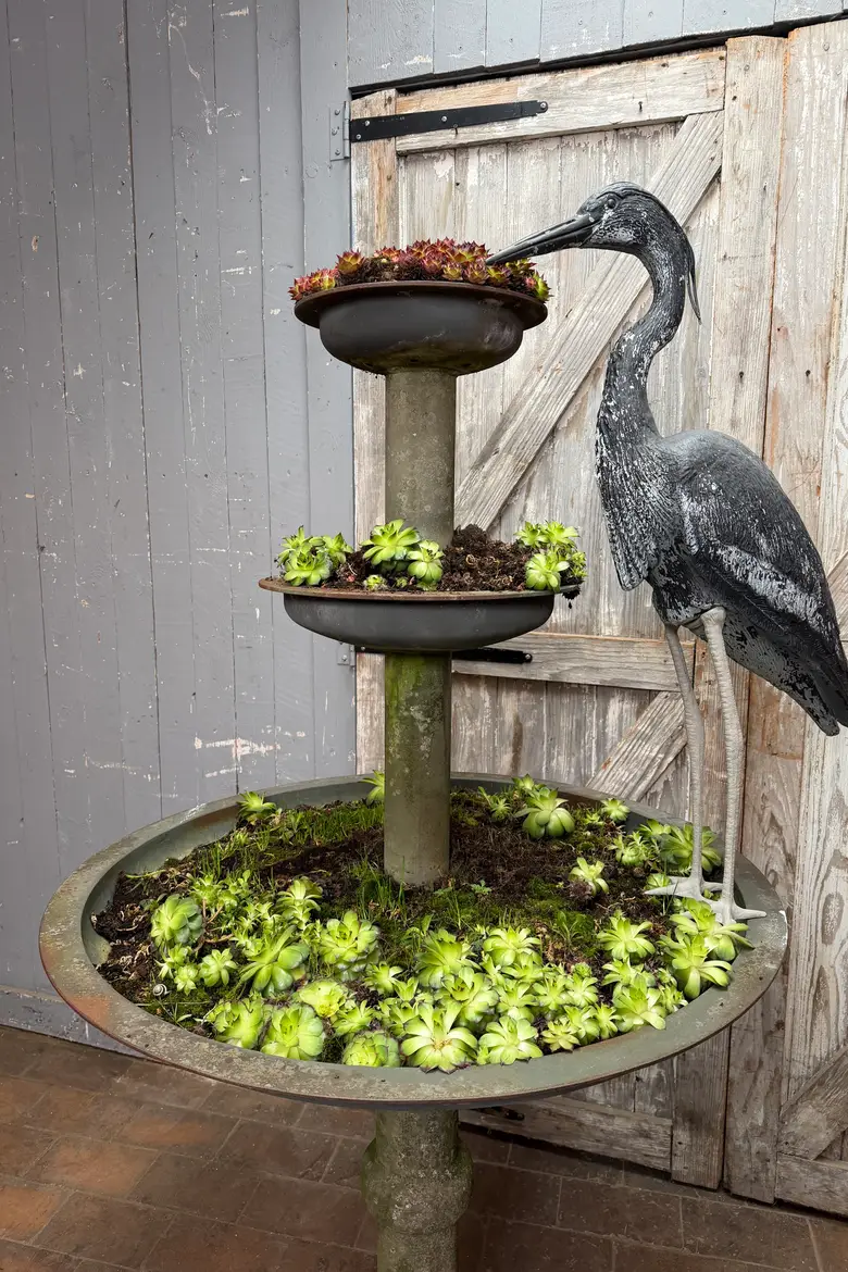 Ancienne jardinière en fonte