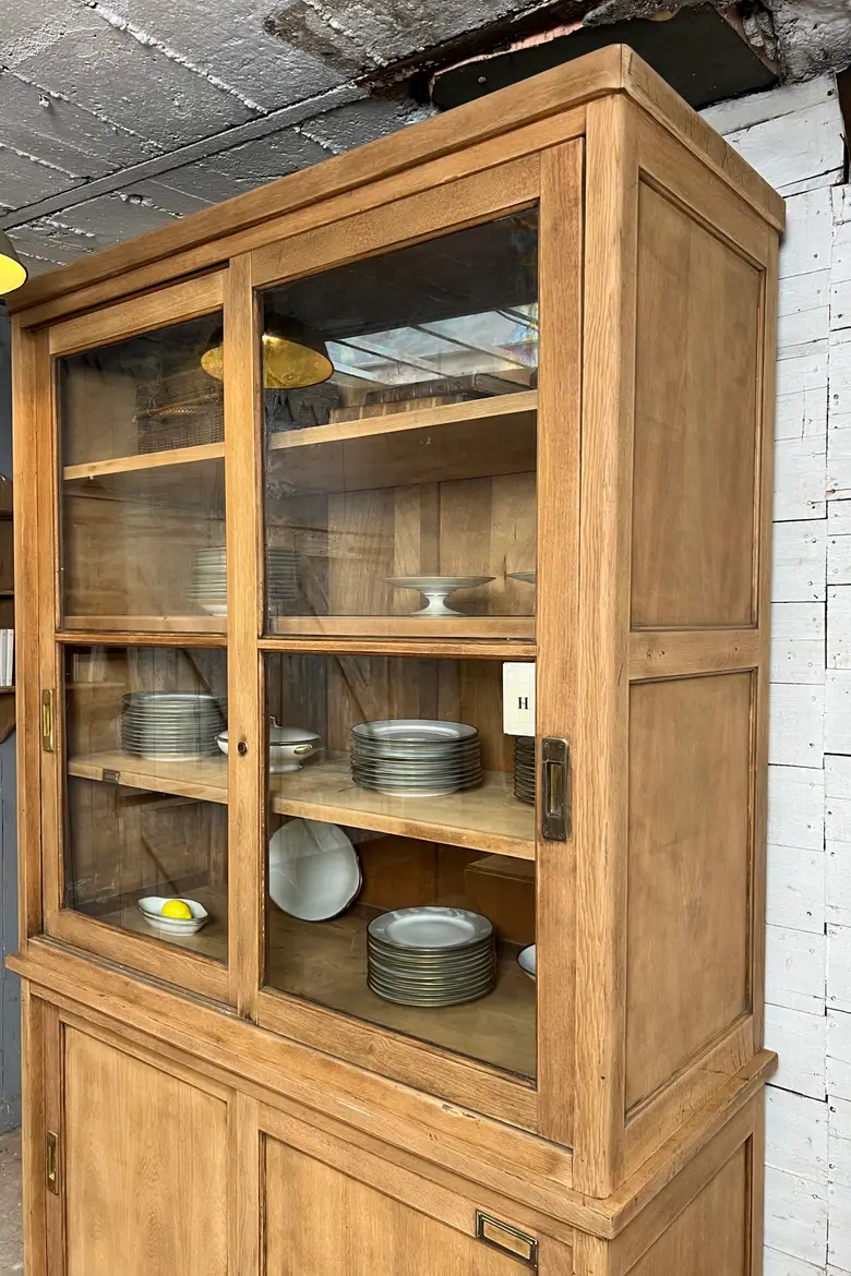 Ancienne vitrine de musée – Début XXe siècle