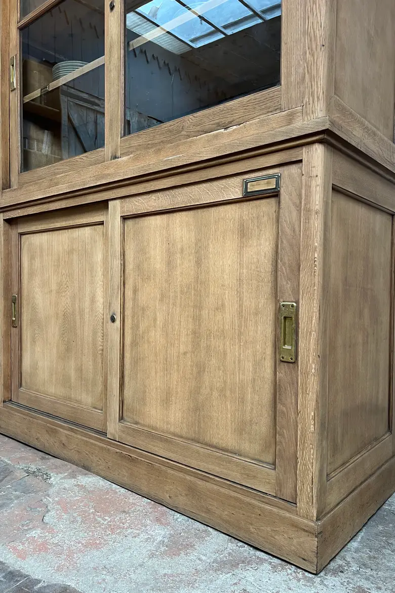 Ancienne vitrine de musée – Début XXe siècle