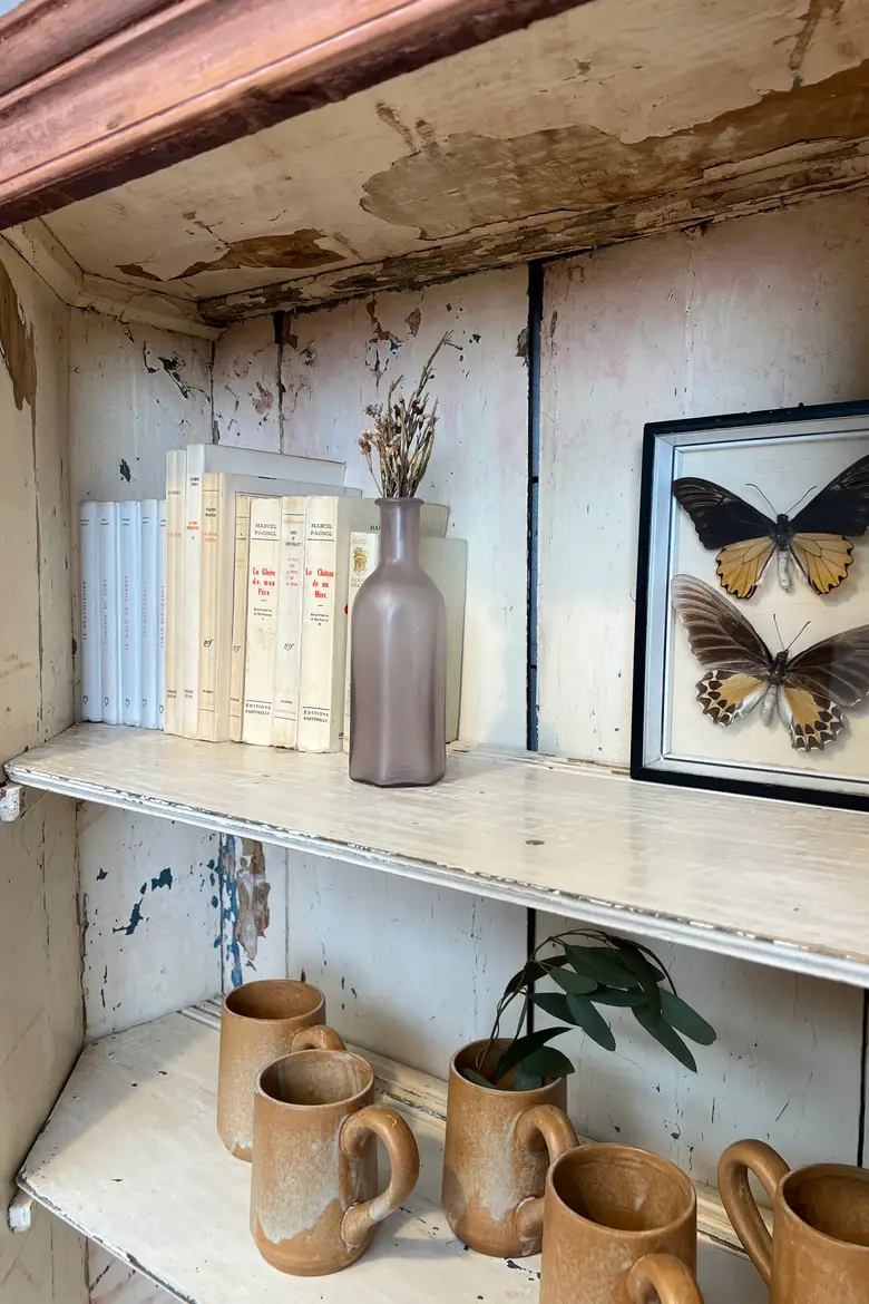 Ancienne vitrine XIXe siècle
