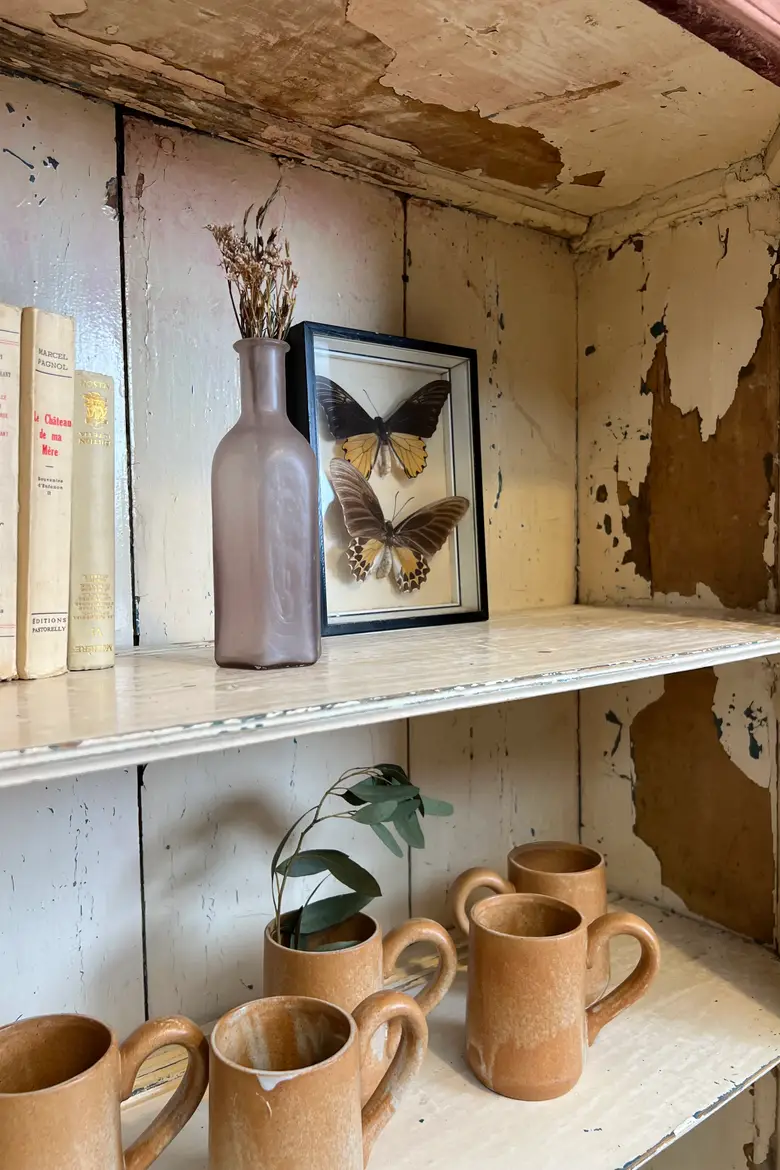 Ancienne vitrine XIXe siècle