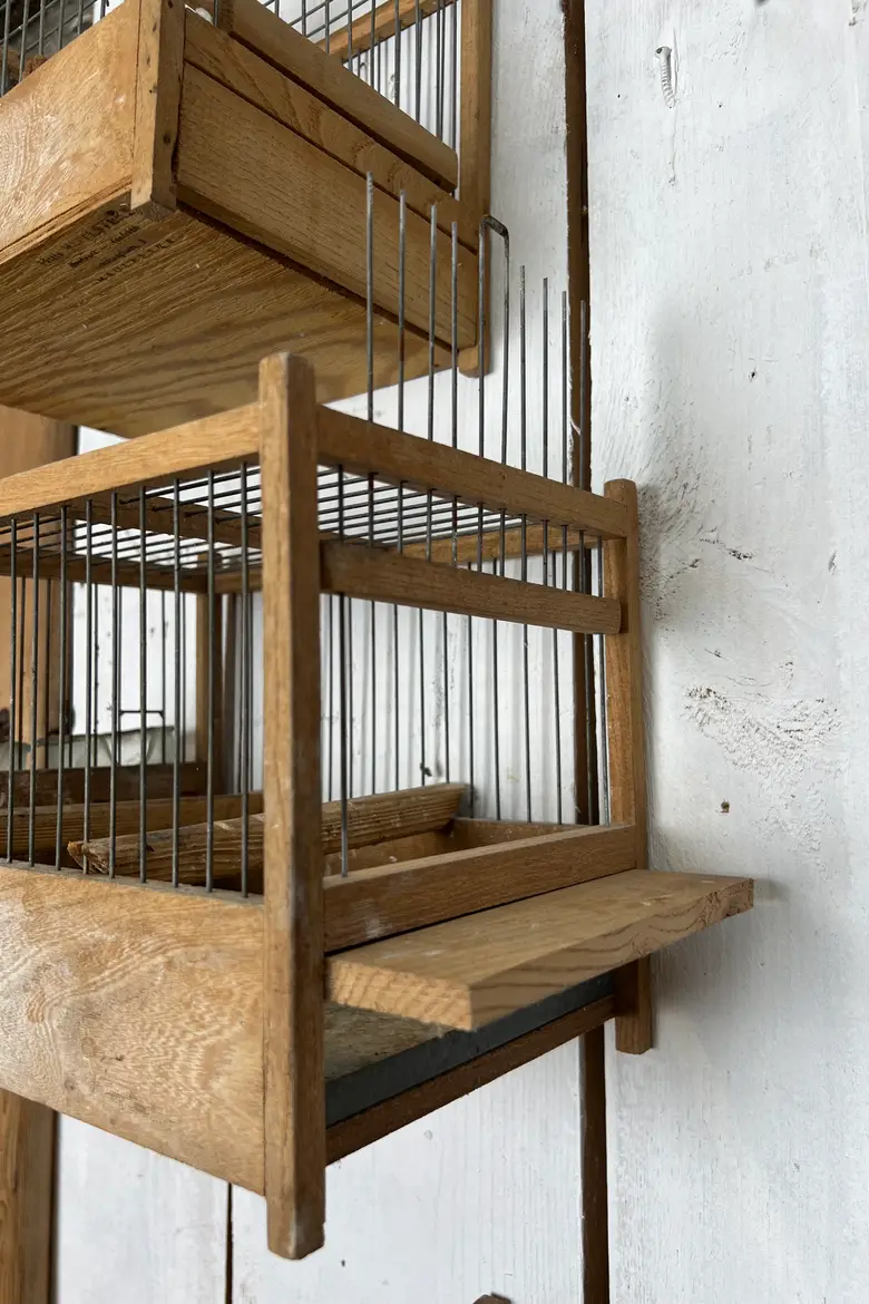 Anciennes cages à oiseaux