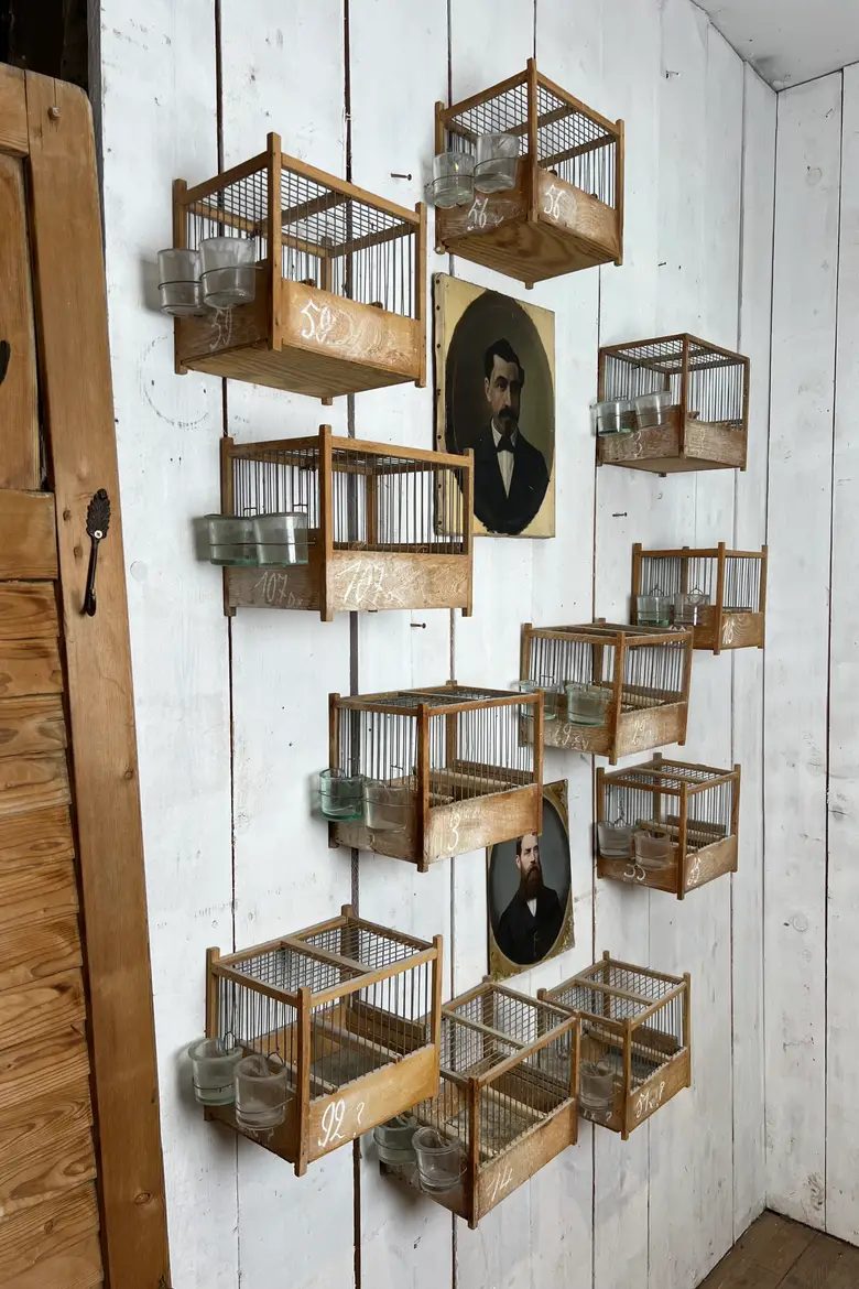 Anciennes cages à oiseaux