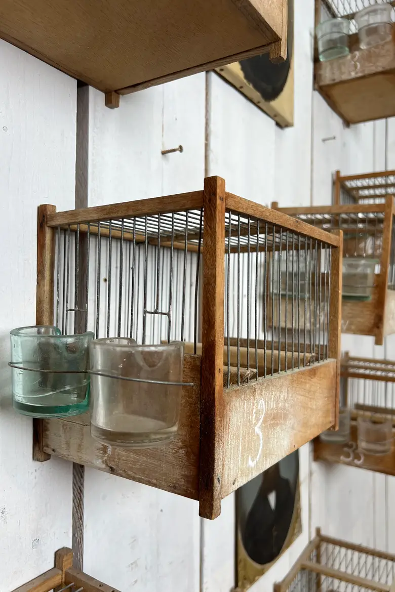 Anciennes cages à oiseaux