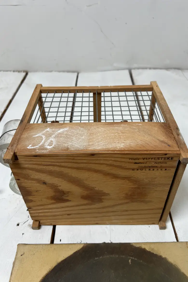 Anciennes cages à oiseaux