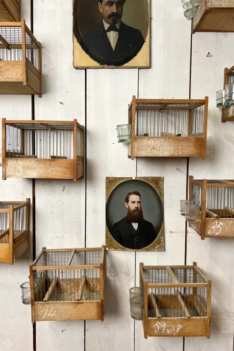 Anciennes cages à oiseaux