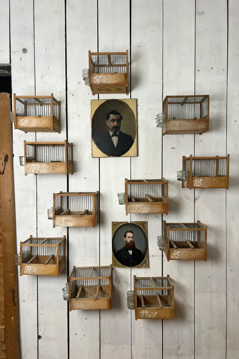 Anciennes cages à oiseaux