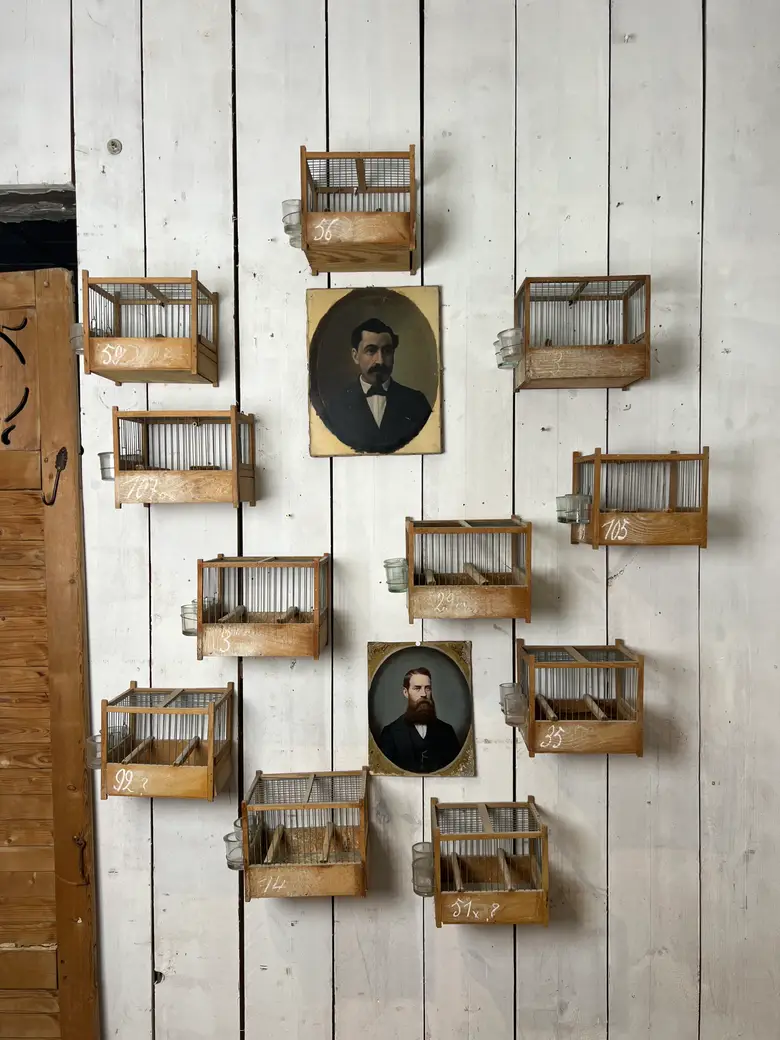 Anciennes cages à oiseaux