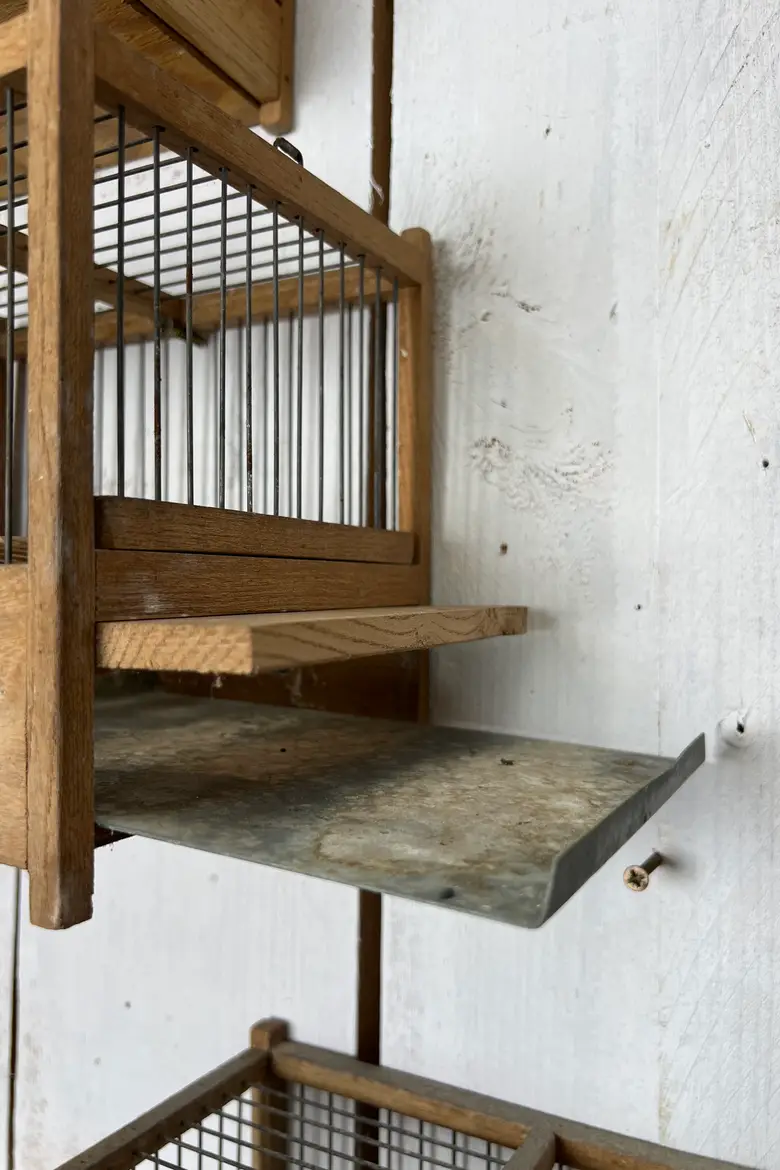 Anciennes cages à oiseaux