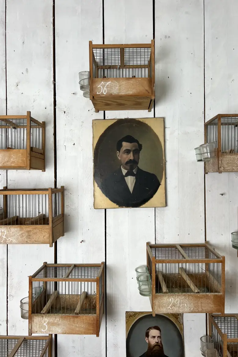 Anciennes cages à oiseaux