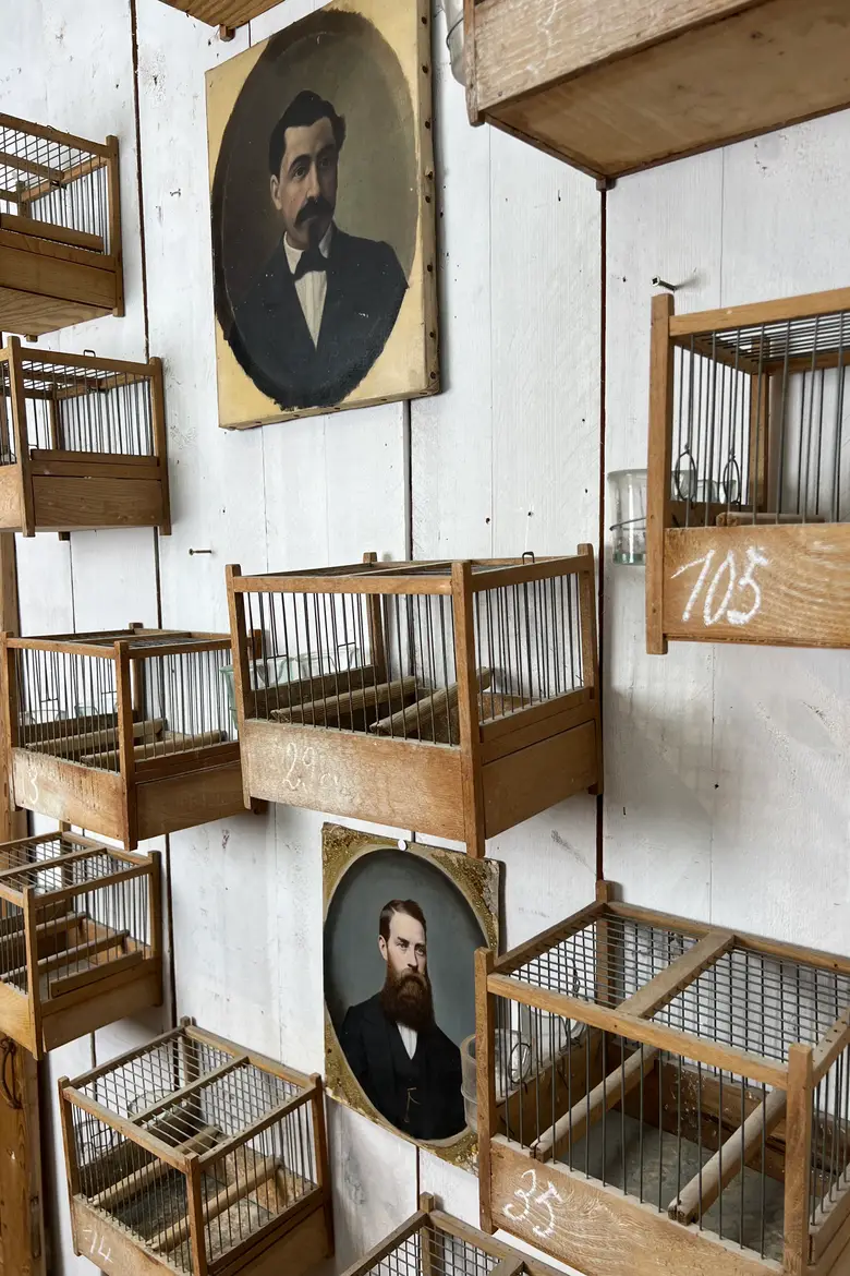 Anciennes cages à oiseaux