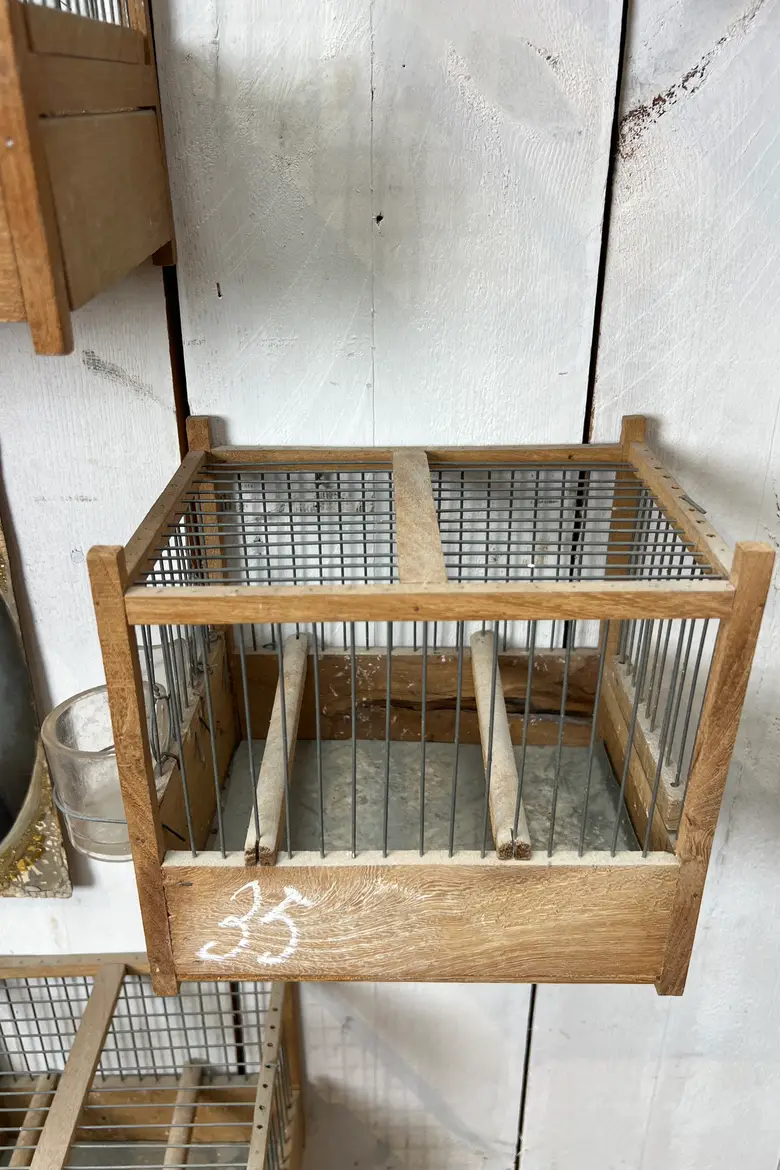 Anciennes cages à oiseaux