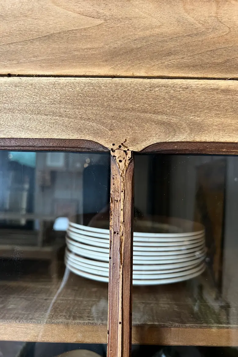 Armoire vitrée en bois brut