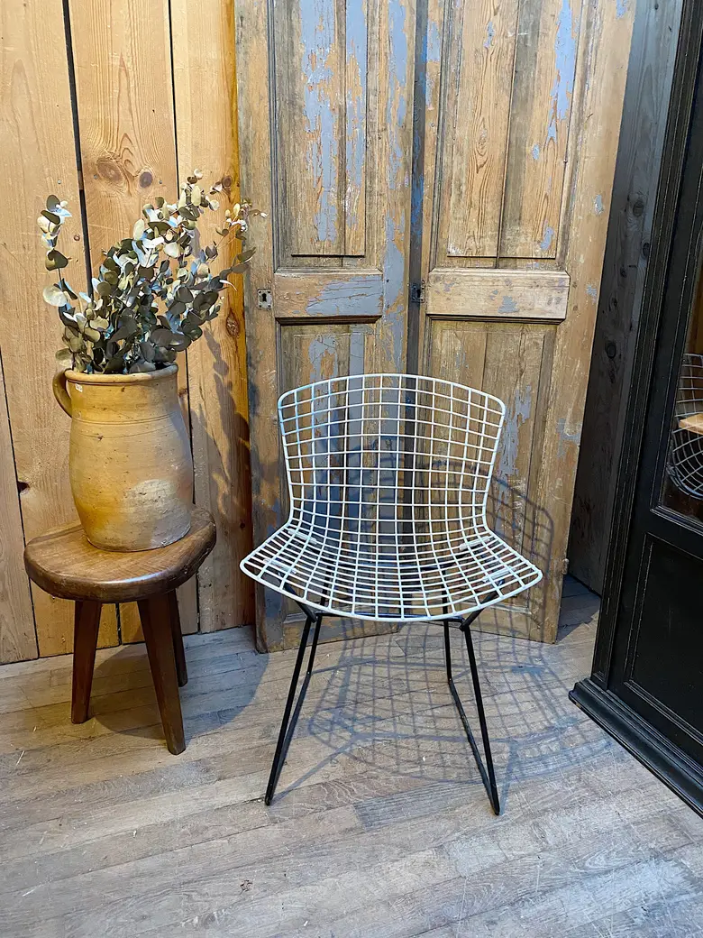 Chaise Bertoïa vintage Années 50