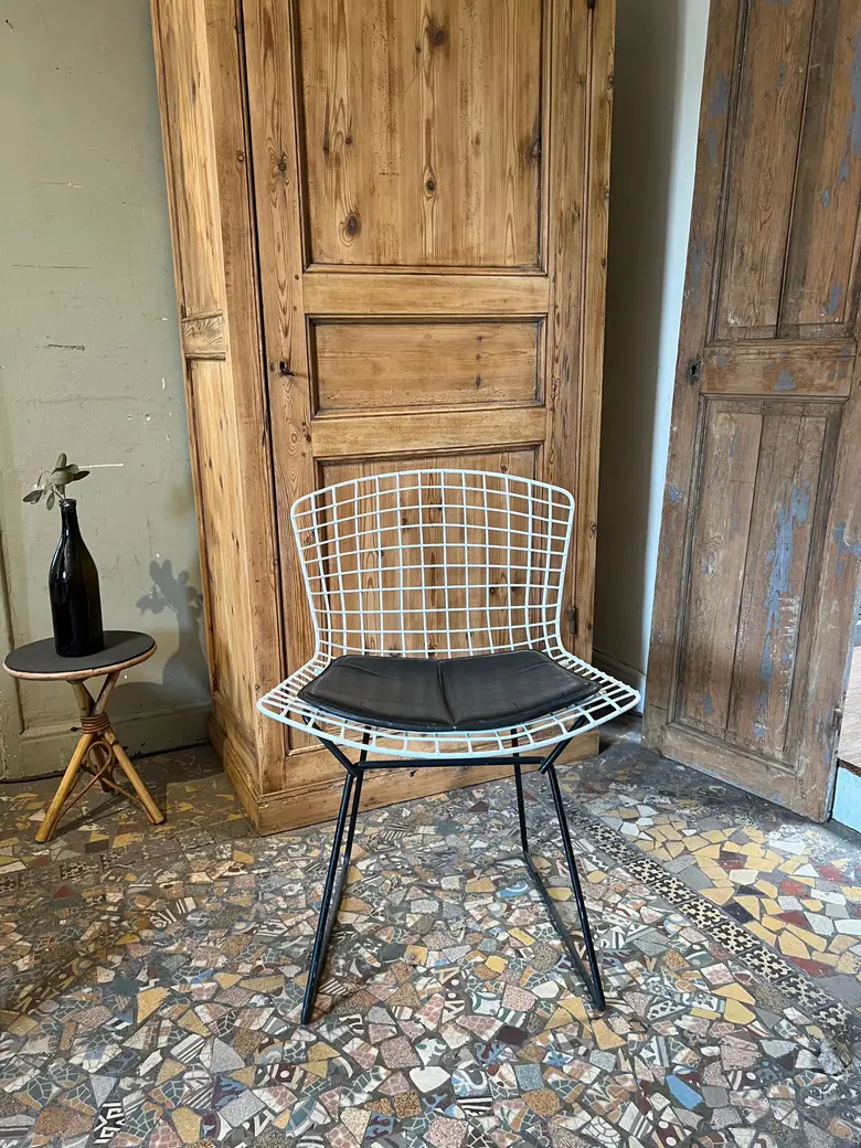 Chaise Bertoïa vintage Années 50