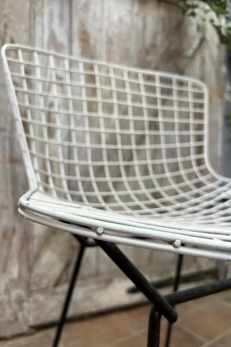 Chaises Bertoïa