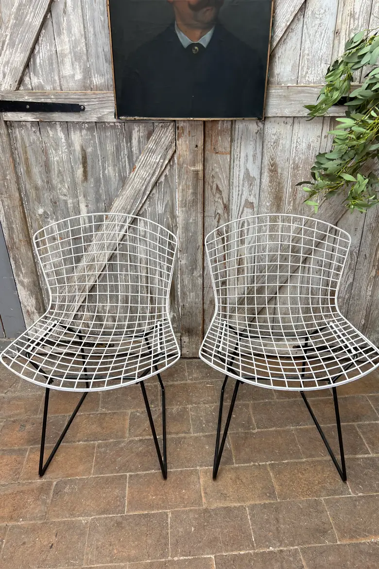 Chaises Bertoïa