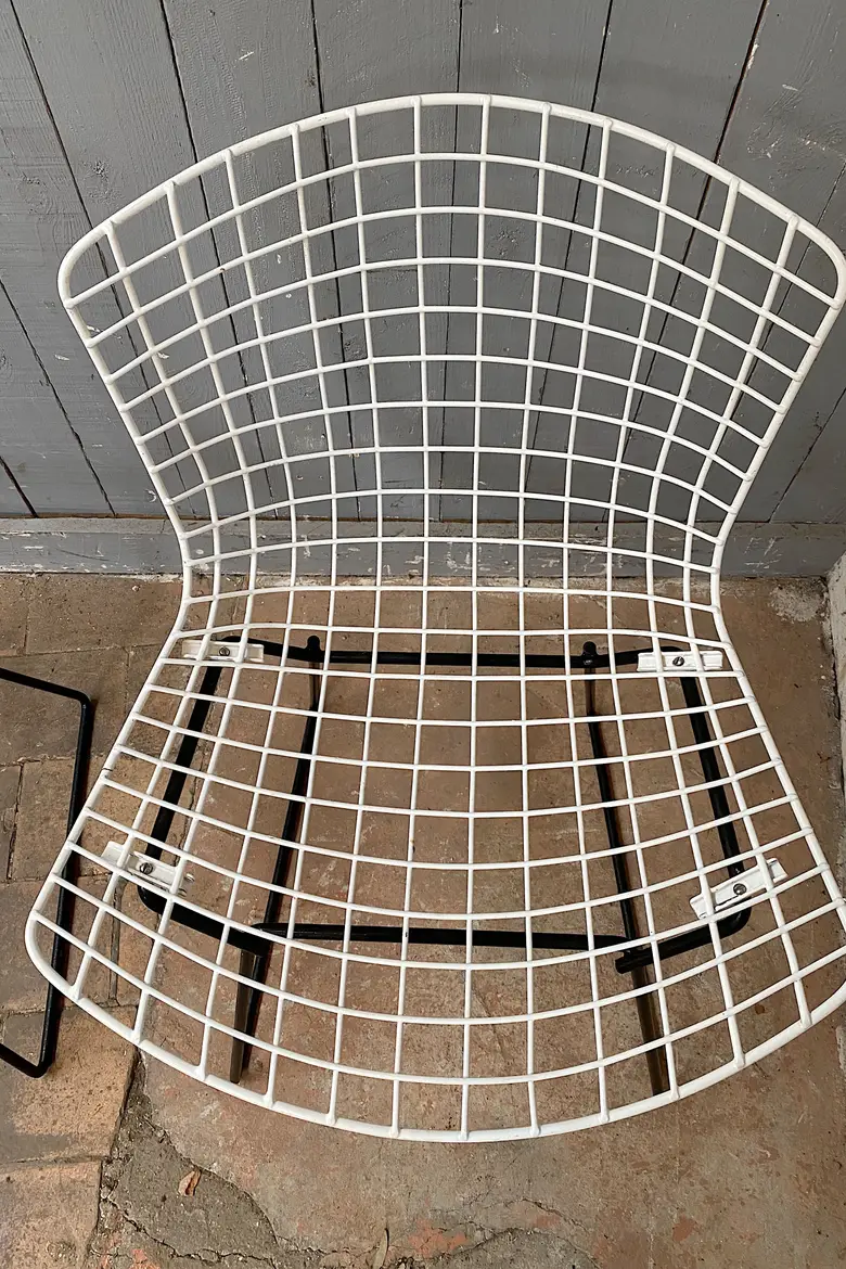 Chaises Bertoïa Années 50