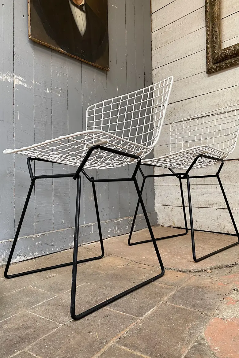Chaises Bertoïa Années 50