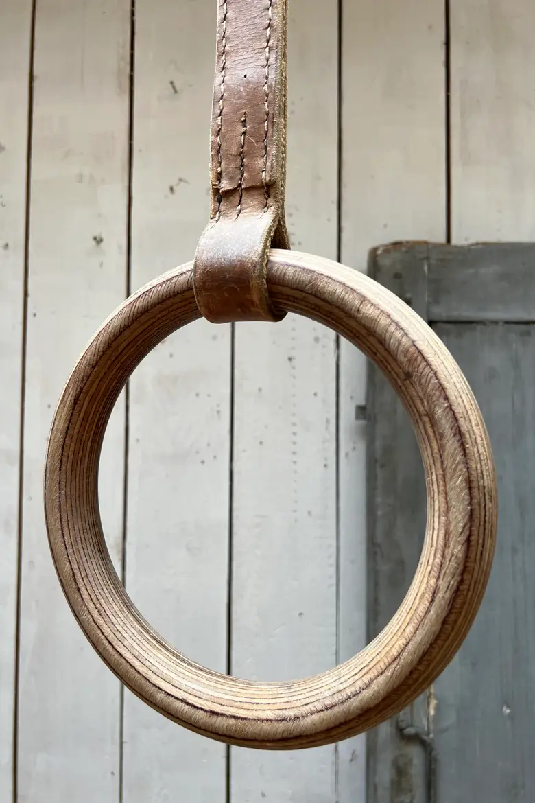 Échelle et anneaux de gymnastique vintage Début XXème