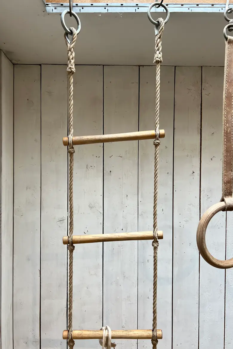 Échelle et anneaux de gymnastique vintage Début XXème