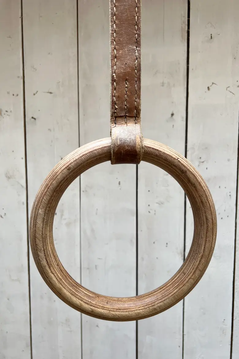 Échelle et anneaux de gymnastique vintage Début XXème