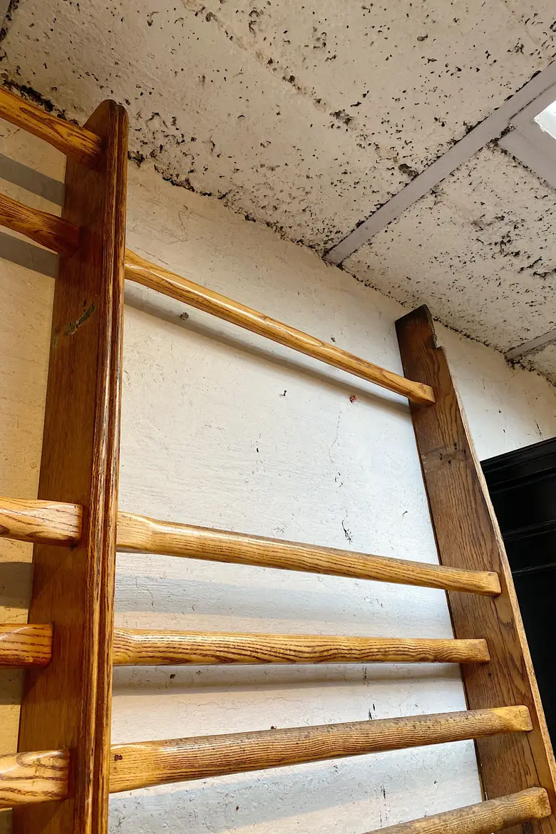 Espalier de gymnastique vintage Années 50
