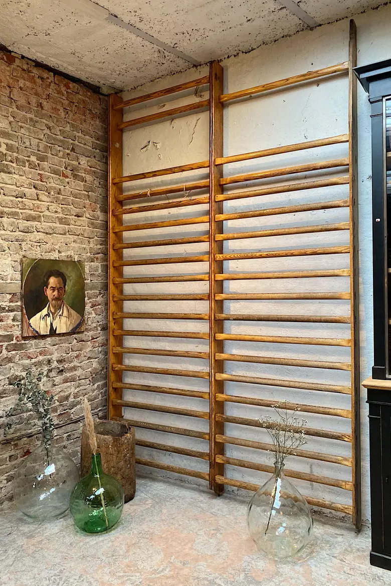 Espalier de gymnastique vintage Années 50