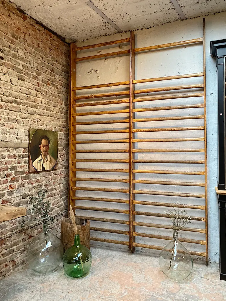 Espalier de gymnastique vintage Années 50