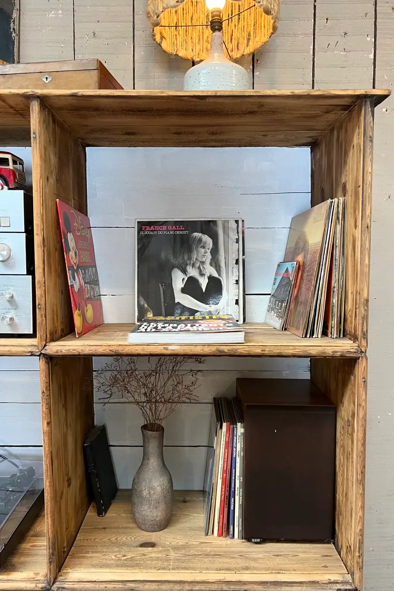 Étagère / bibliothèque en chêne et sapin