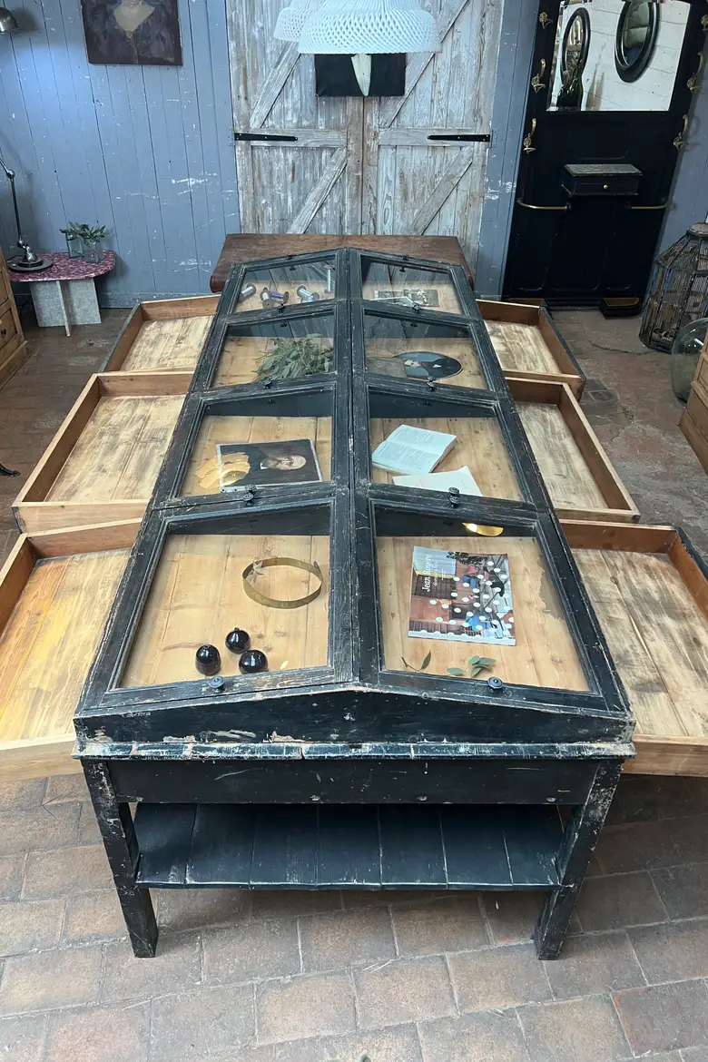Exceptionnelle vitrine de musée