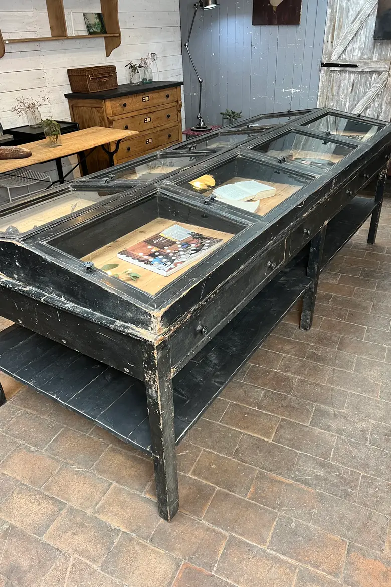 Exceptionnelle vitrine de musée