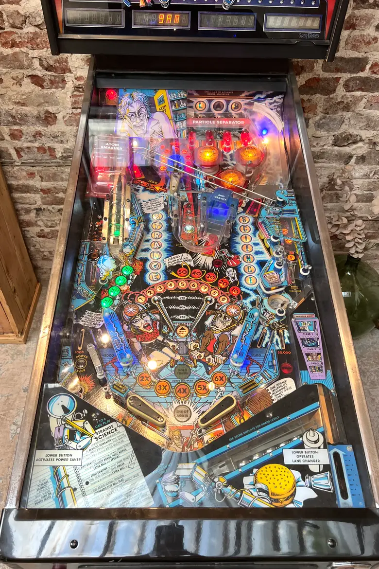 Flipper des années 90
