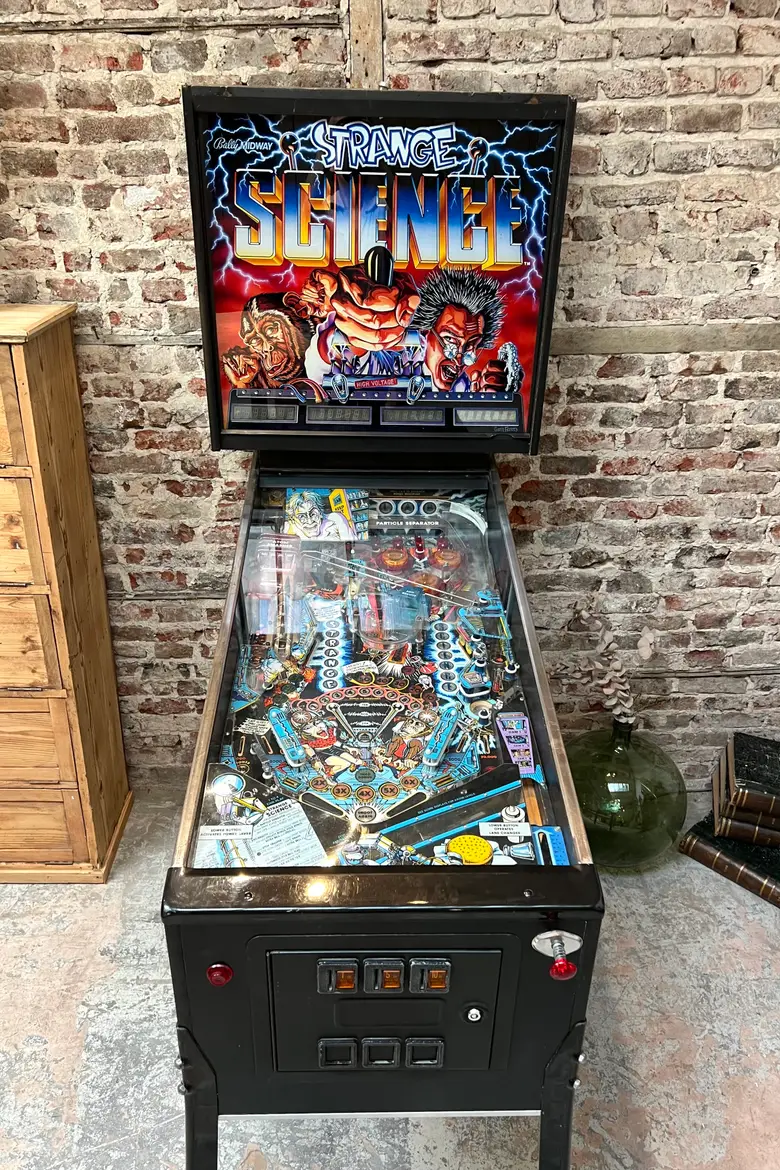 Flipper des années 90