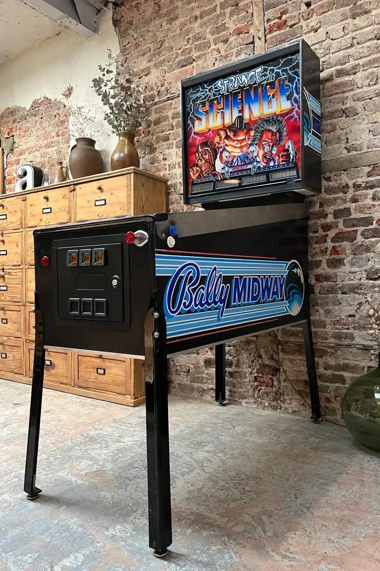Flipper des années 90