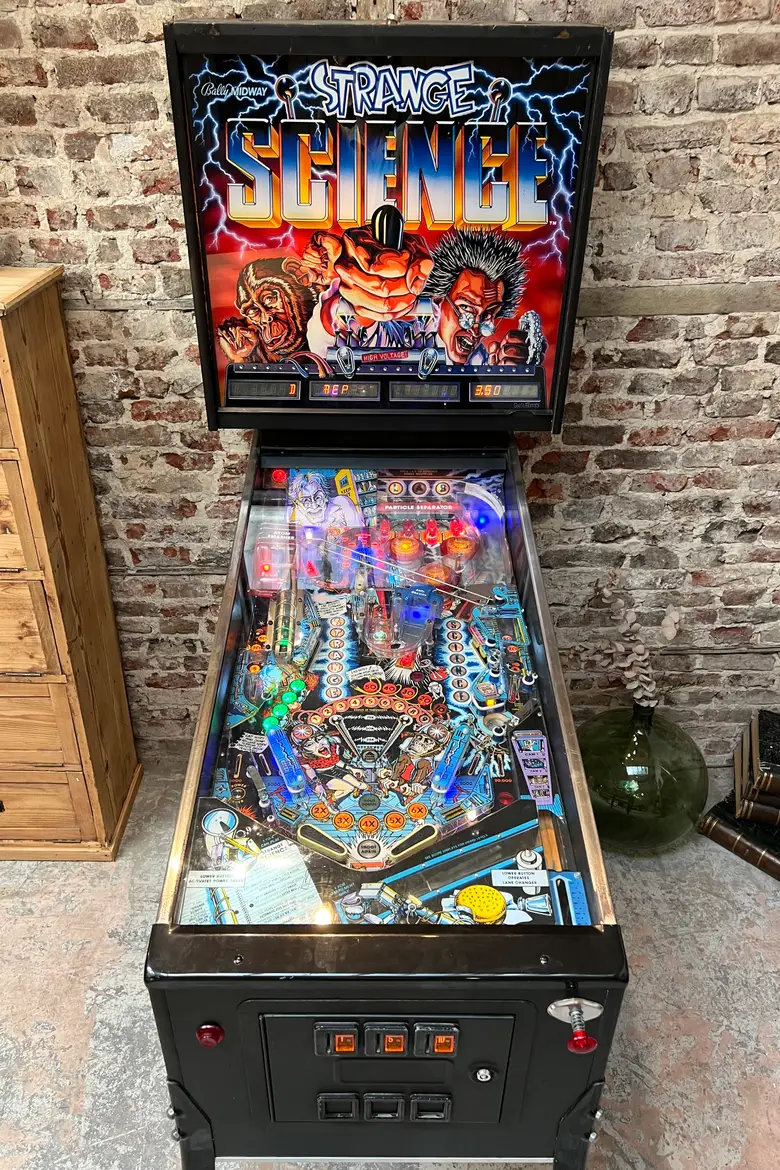 Flipper des années 90