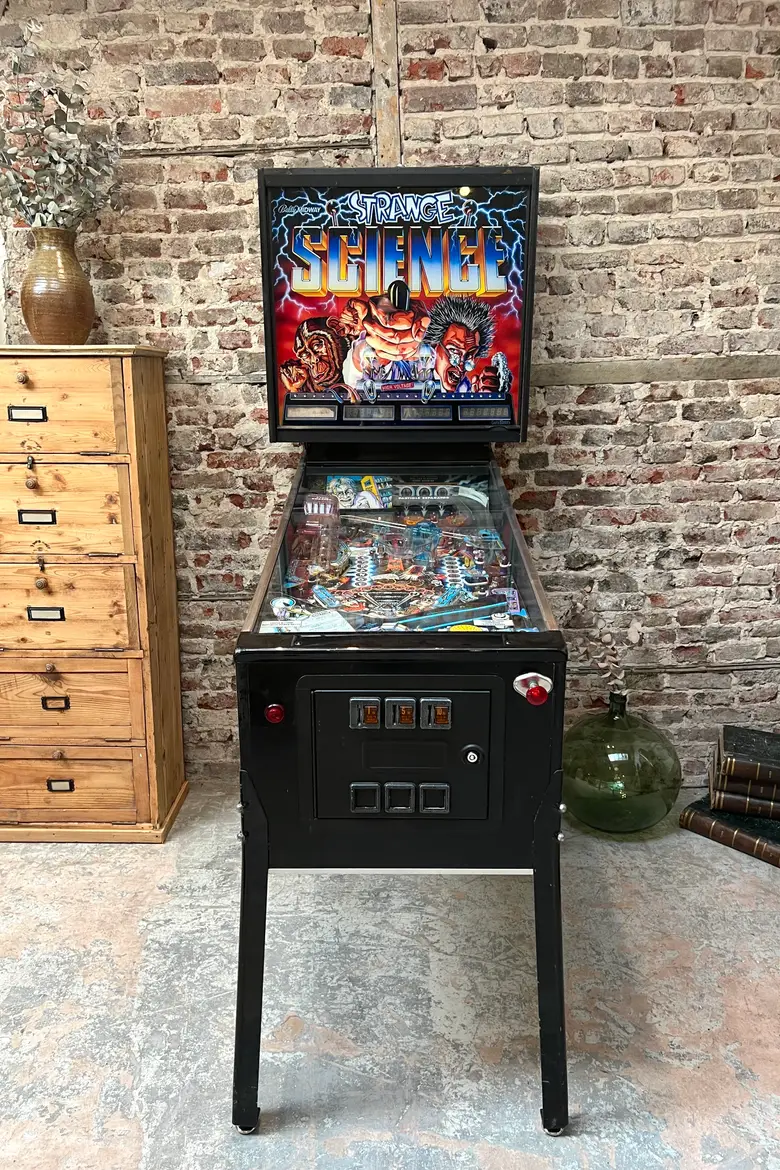 Flipper des années 90