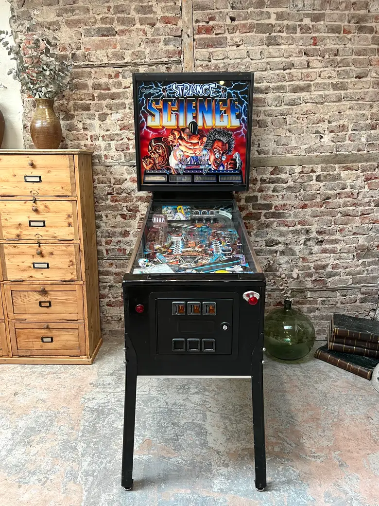 Flipper des années 90