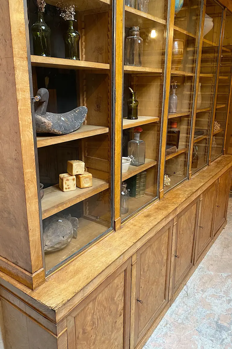 Grande vitrine de commerce en loupe de frêne Début XXème
