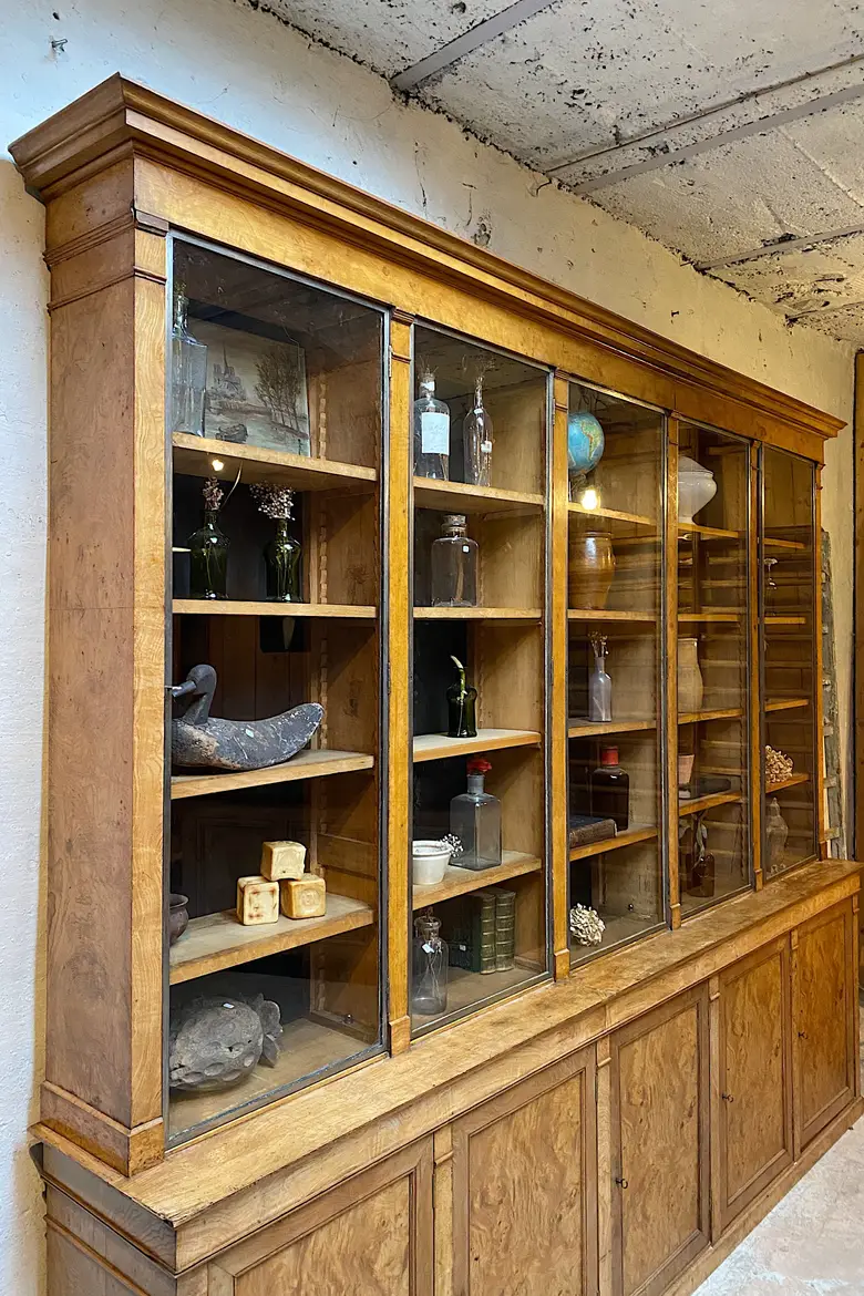 Grande vitrine de commerce en loupe de frêne Début XXème