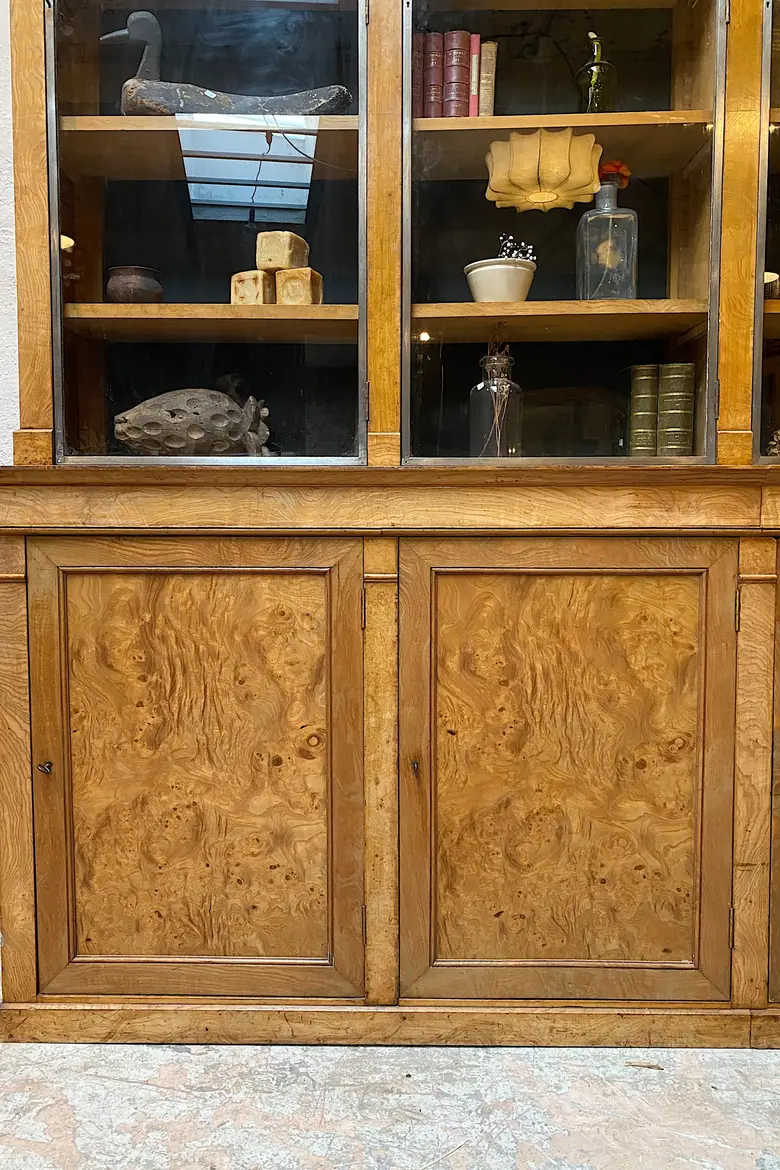 Grande vitrine de commerce en loupe de frêne Début XXème