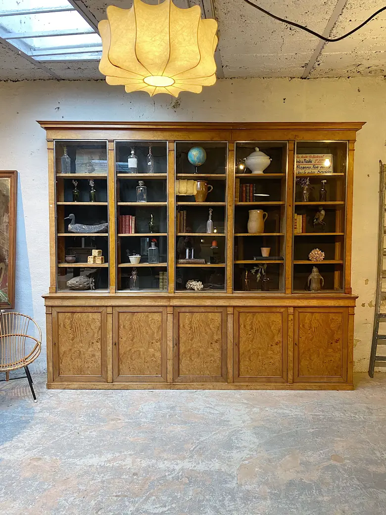 Grande vitrine de commerce en loupe de frêne Début XXème