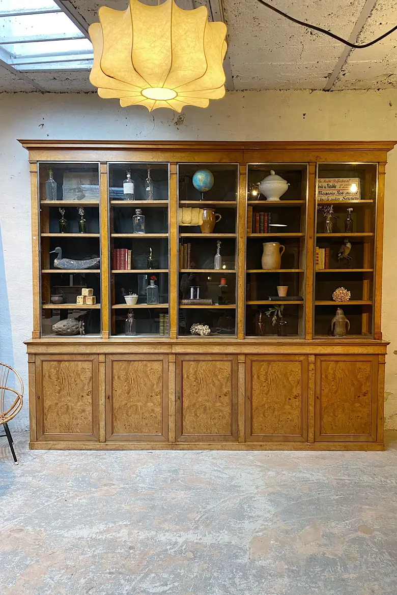 Grande vitrine de commerce en loupe de frêne Début XXème