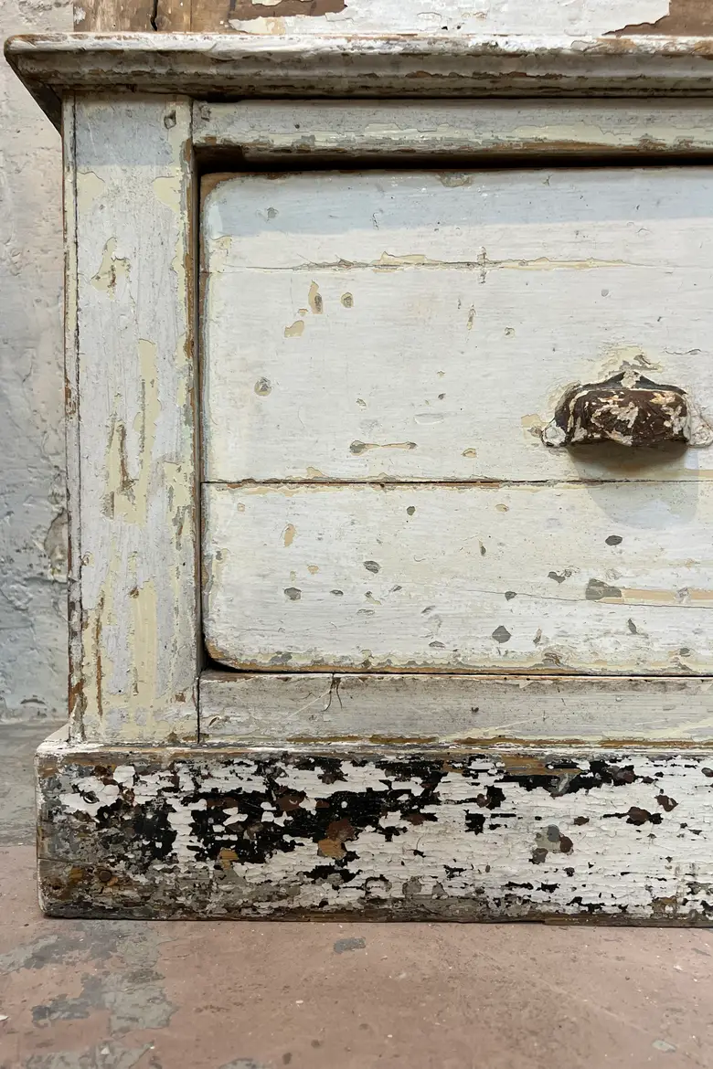 Grande vitrine de fleuriste – Fin XIXe