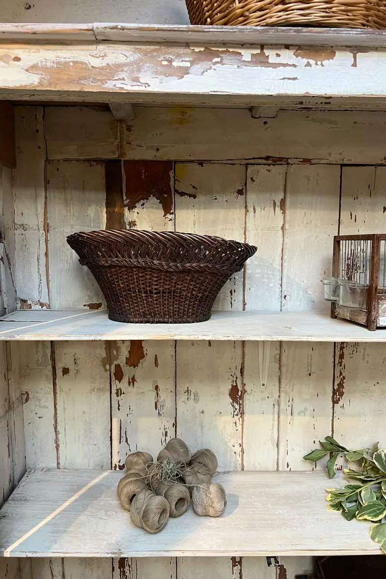 Grande vitrine de fleuriste – Fin XIXe