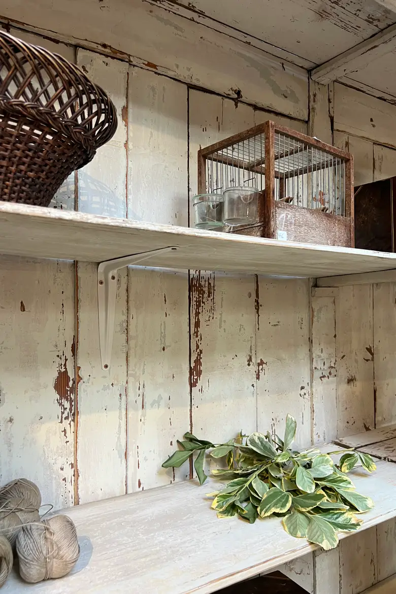 Grande vitrine de fleuriste – Fin XIXe