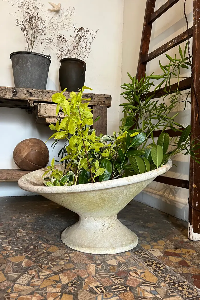 Jardinière Willy Guhl 1960