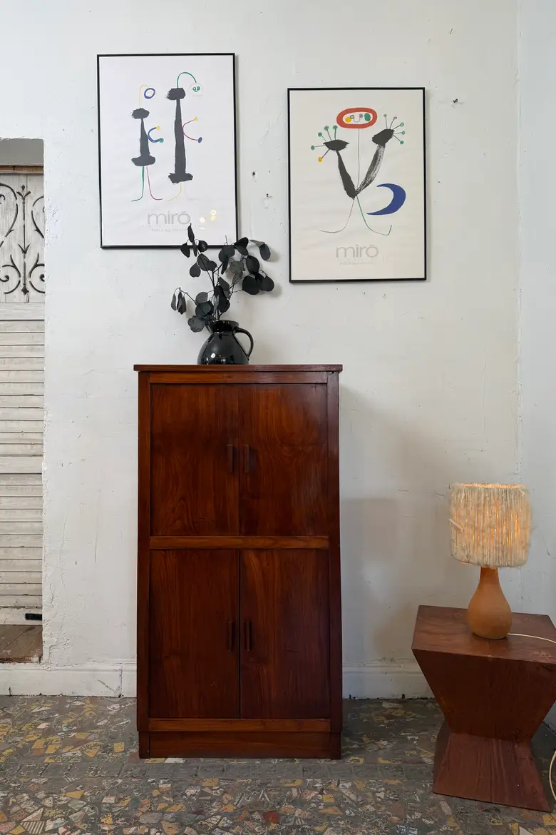 Meuble de rangement années 50 en palissandre